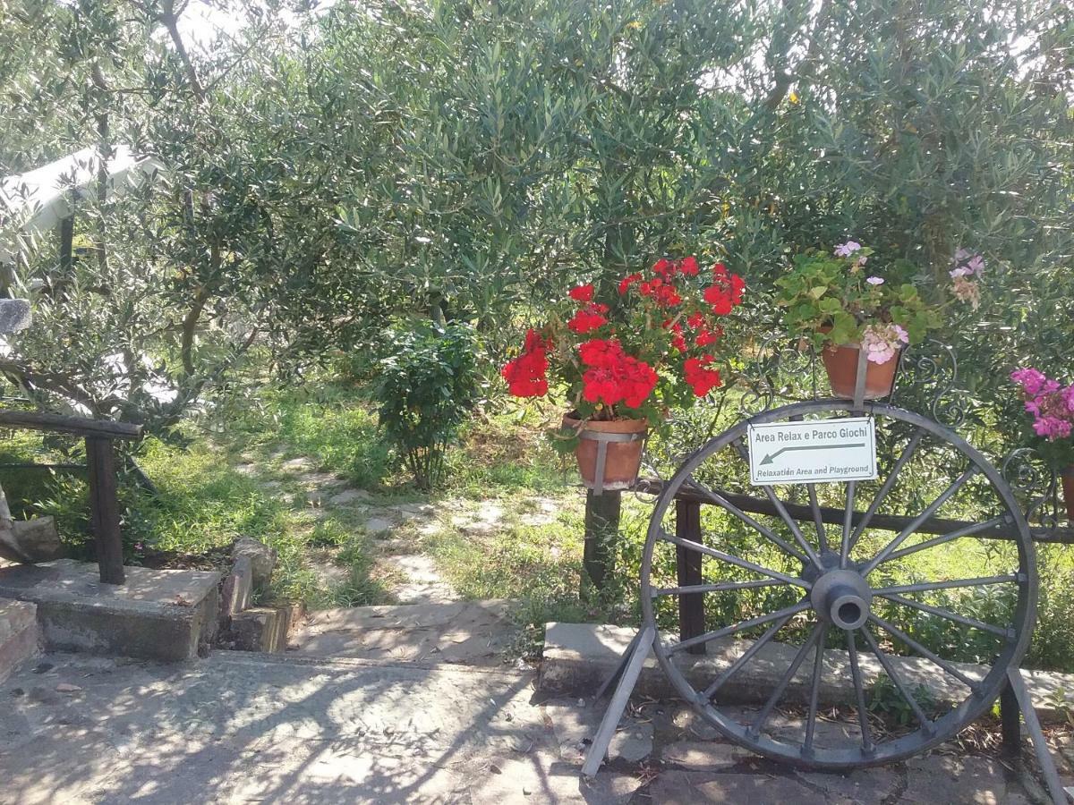 Casa Vacanze L'Oliveta Siena Exterior foto